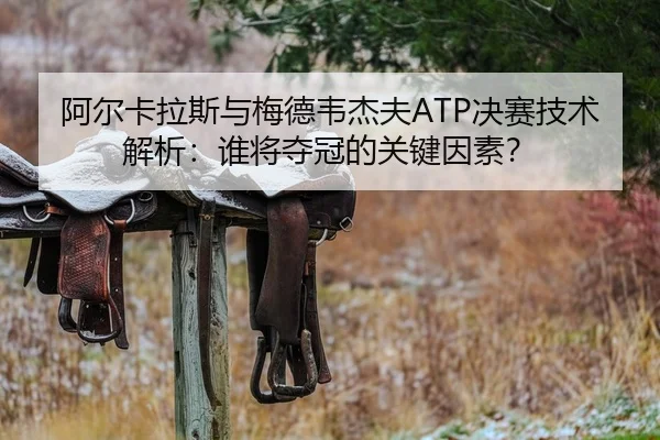 阿尔卡拉斯与梅德韦杰夫ATP决赛技术解析：谁将夺冠的关键因素？